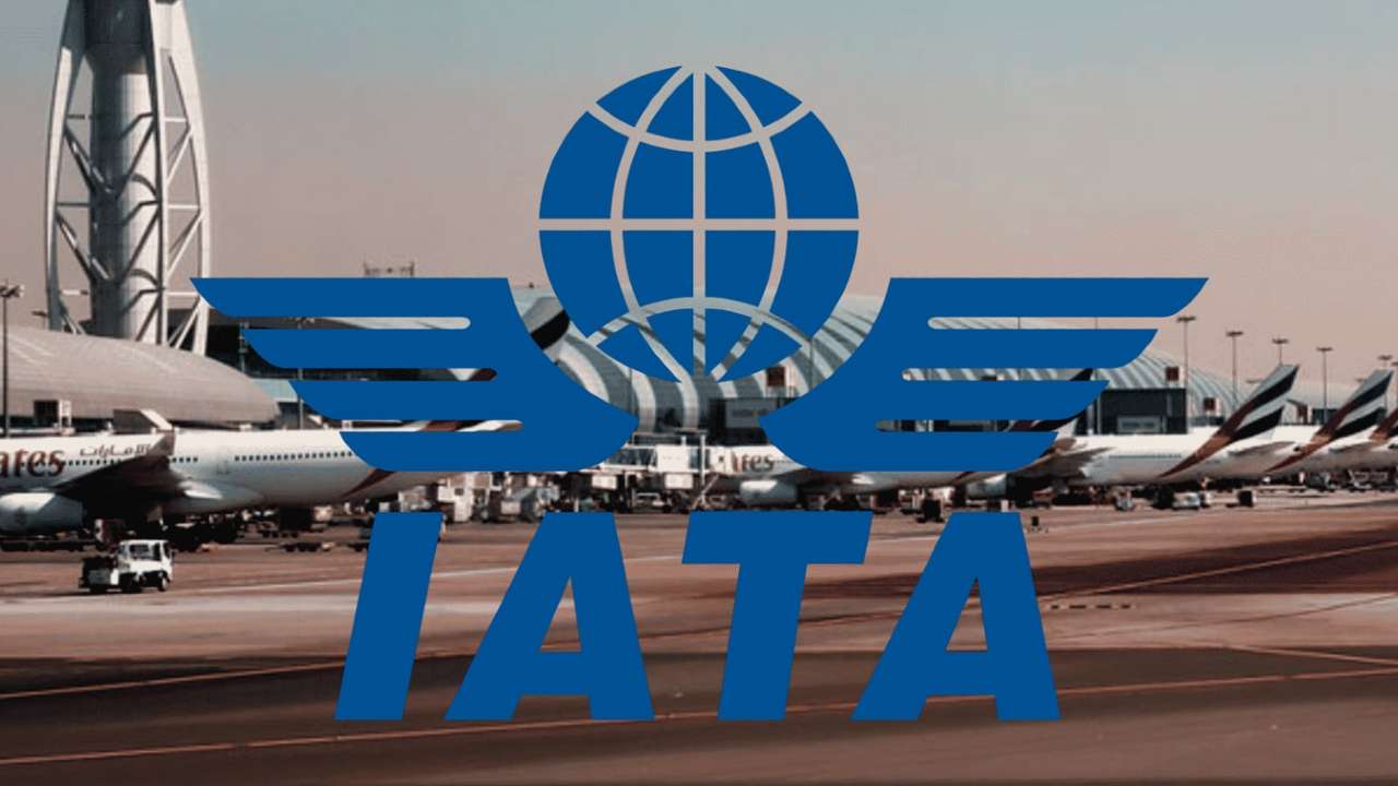 IATA: Vergi krizi havayollarını uçak almaktan caydırabilir